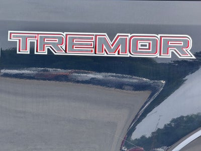 2020 Ford F-250SD Platinum